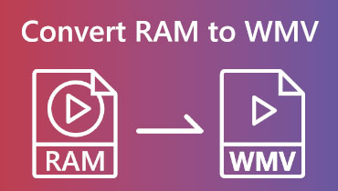 RAM'den WMV'ye dönüştürücü