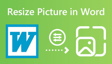 Resize a Picture in Word