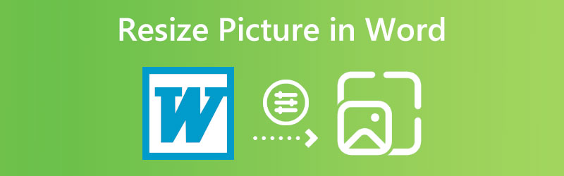 Resize a Picture in Word