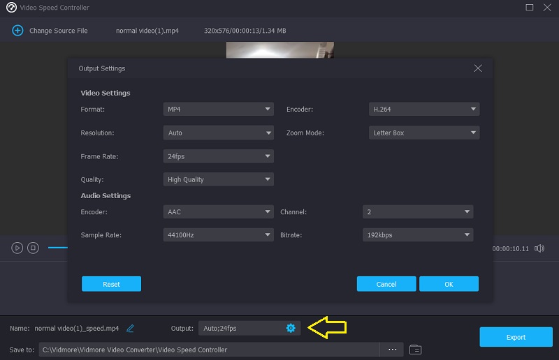 Modifica output Vidmore