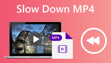 Zpomalit MP4 video