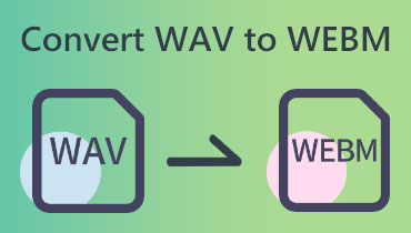 WAV'den WEBM'ye dönüştürücü