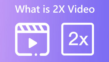 2x 비디오 란 무엇입니까?