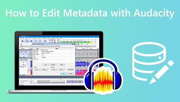 Editarea metadatelor Audacity