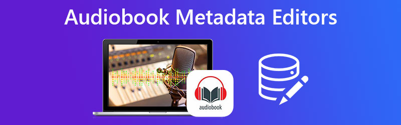 Revisión del editor de metadatos de audiolibros