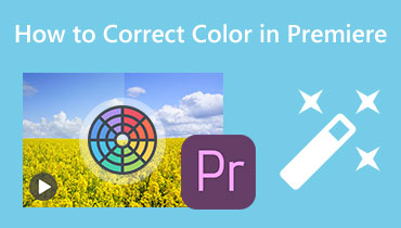 색상 보정 Premier Pro s