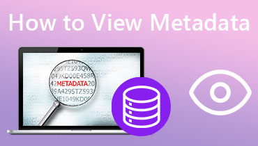 how-to-view-metadata-s