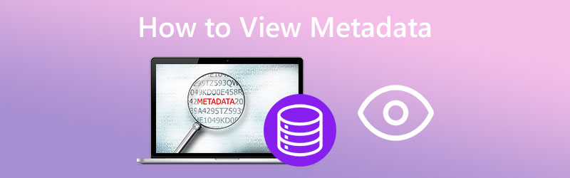 How to View Metadata