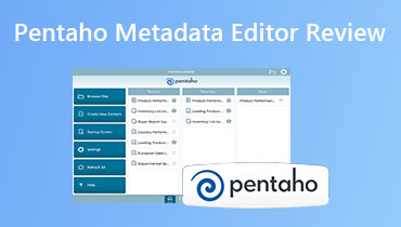 Revisão do Editor de Metadados Pentaho