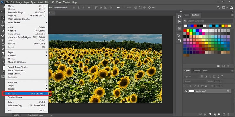 Lihat Metadata Photoshop