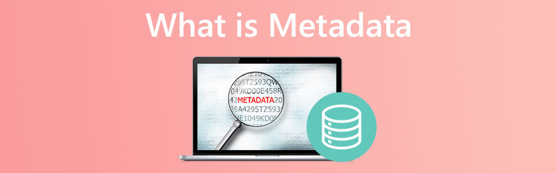Co jsou metadata 