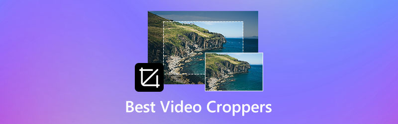 1 Migliori Video Cropper