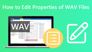 Editare proprietăți Wav s