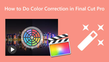 Final Cut Colour Corrector s