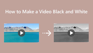 Maak een video in zwart-wit