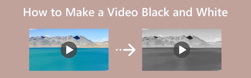 Make a Video Black and White