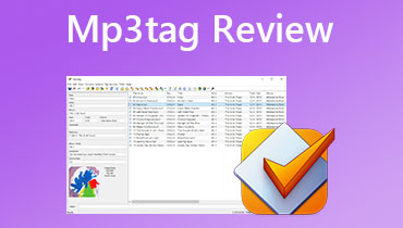 Revizuire MP3 Tag s