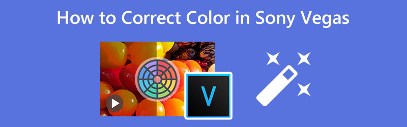  Corrección de color Sony Vegas