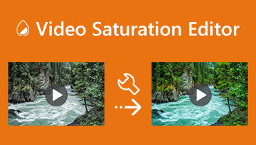 Video Saturation Editor