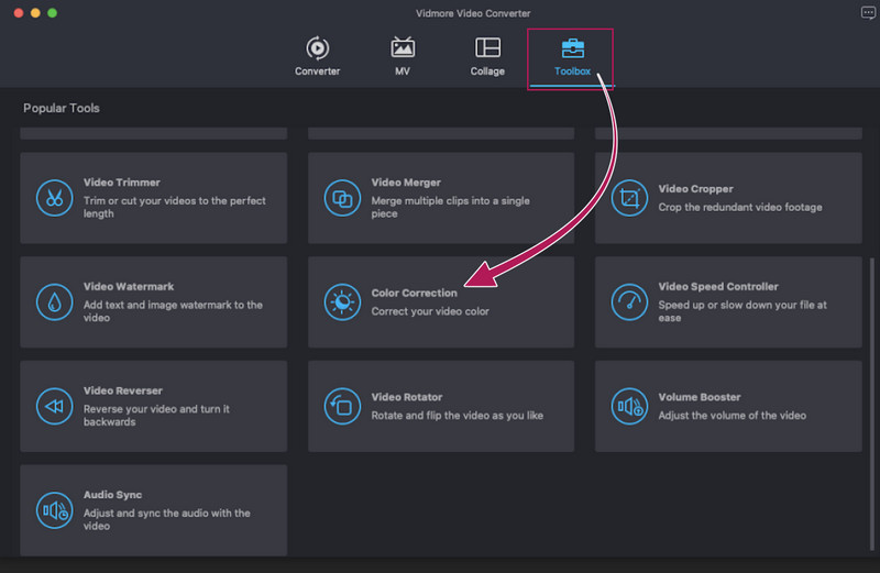 Vidmore Color Correction Toolbox