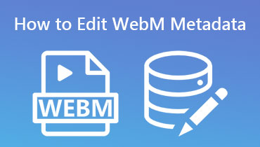 WEBM 메타데이터 자습서 편집