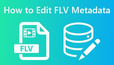 วิธีแก้ไขข้อมูลเมตาของ FLV
