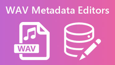 WAV Metadata Editor Anmeldelser s