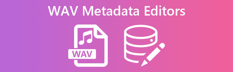 Wav Metadata Editor Review