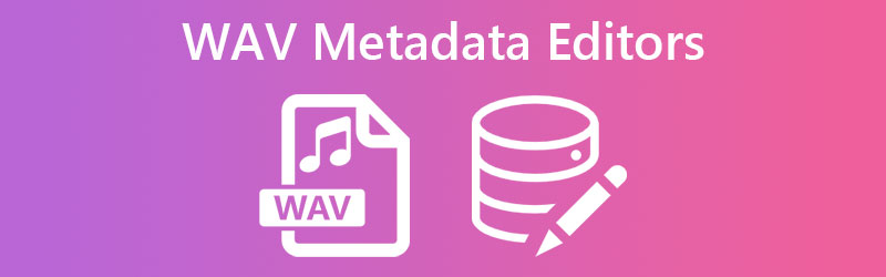 Recensione dell'editor di metadati Wav