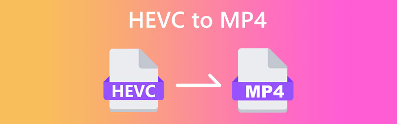 HEVC naar MP4