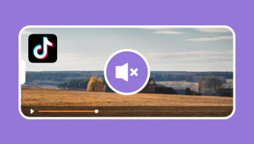 ปิดเสียงวิดีโอสำหรับ Tiktok