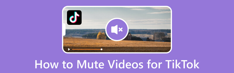 Mute Videos for TikTok