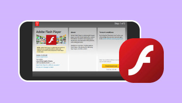 Adobe Flash Player