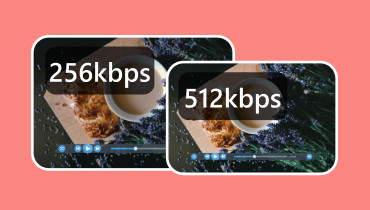 What is Video Bitrate
