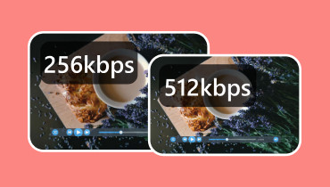 Hvad er Video Bitrate