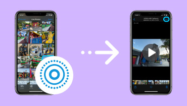 Make Live Photo to Video