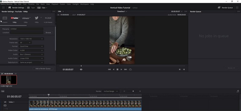 DaVinci Resolve Editor Video Menegak