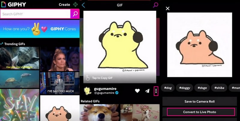 วิธีแปลง GIF เป็น Live Photo โดยใช้ Giphy