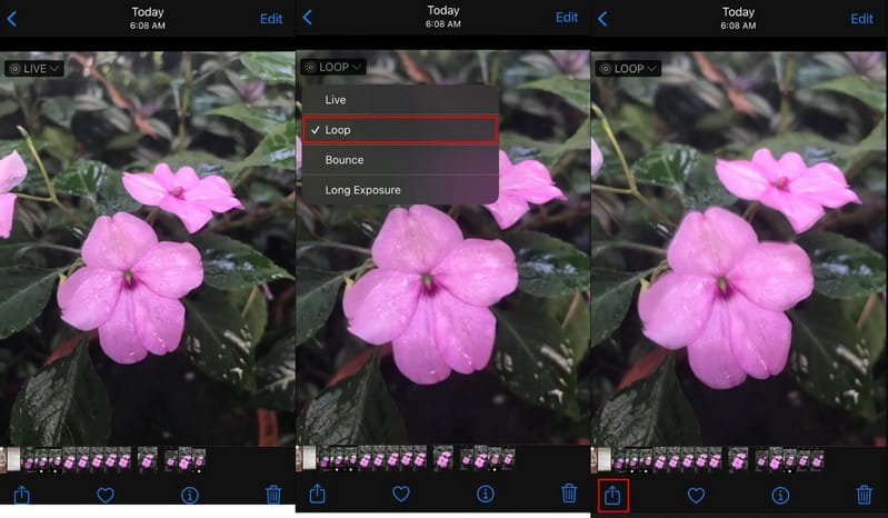 How to Loop Videos on iPhone Camera Roll