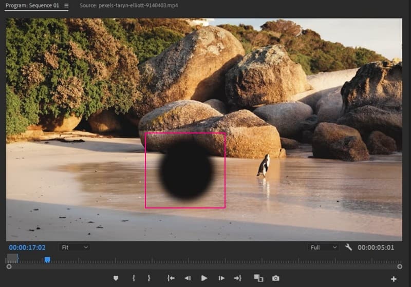 Premiere pro Fjern objekt fra video uten nett