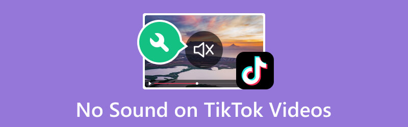 TikTok Videolarında Ses Yok