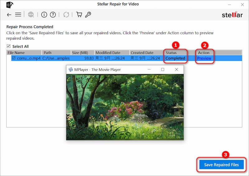 Preview and Save Your Video in Stellar Repair for Video