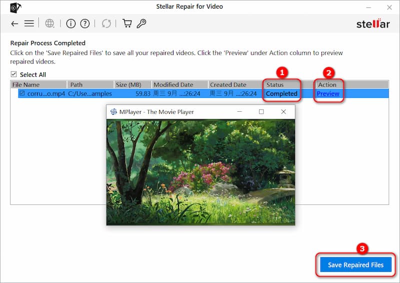 在 Stellar Repair for Video 中预览并保存您的视频