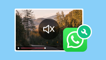 Reparar vídeo do WhatsApp sem som