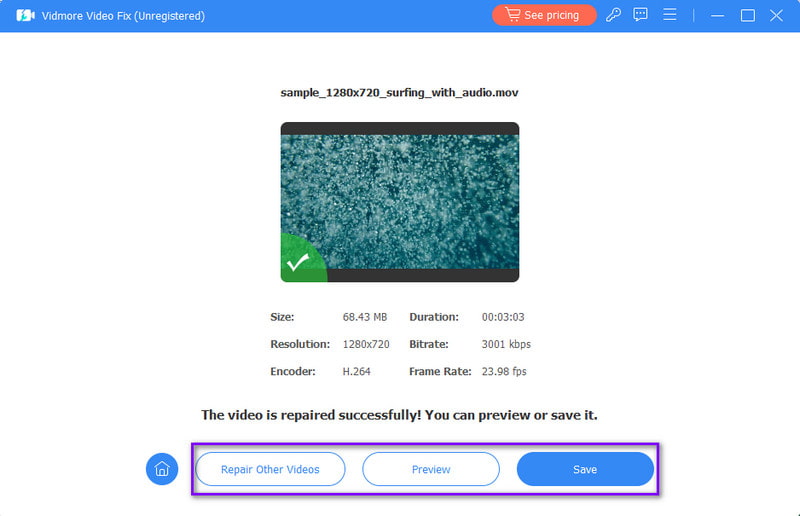 Save Preview and Repair Other Videos Choices