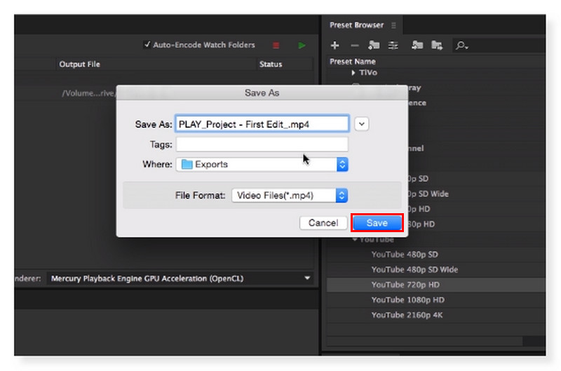 Adobe Encoder Tallenna tiedosto