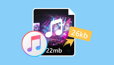 Comprimați audio în iTunes