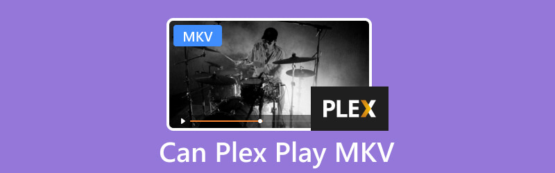 在 Plex 上播放 MKV