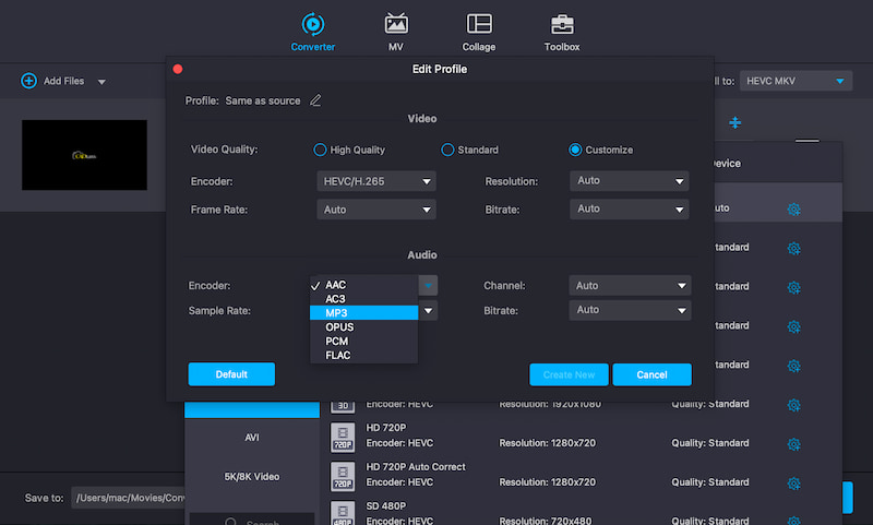 Vidmore Video Converter Prilagodite Encoder