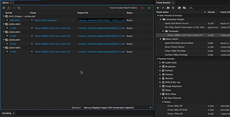 Esportazione di Adobe Media Encoder